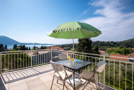 Apartmán Jižní Dalmácie - Mlini (Dubrovník) DA 10162 N1