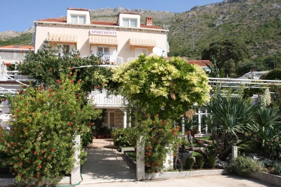 Apartmán Jižní Dalmácie - Mlini (Dubrovník) DA 10163 N1