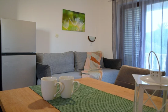 Apartmán Ostrov Pašman - Dobropoljana OS 11438 N2