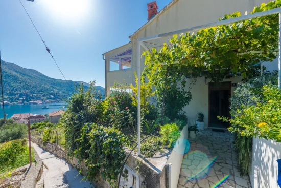 Apartmán Jižní Dalmácie - Zaton (Dubrovník) DA 10224 N1