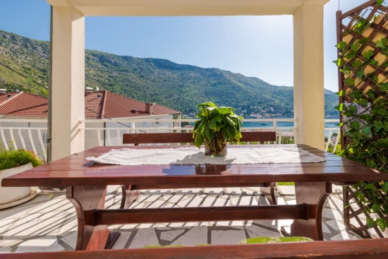 Apartmán Jižní Dalmácie - Zaton (Dubrovník) DA 10224 N1