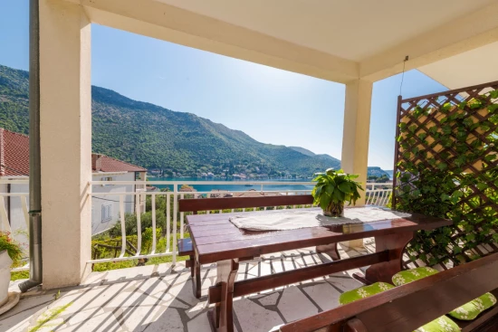 Apartmán Jižní Dalmácie - Zaton (Dubrovník) DA 10224 N1