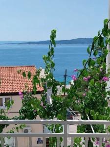 Apartmán Střední Dalmácie - Baška Voda DA 10270 N3