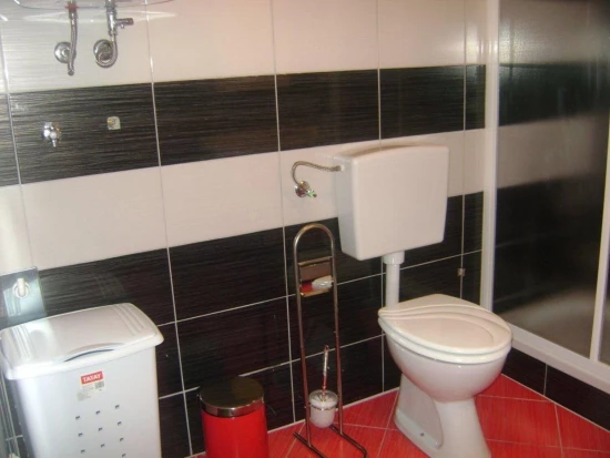 Apartmán Severní Dalmácie - Sukošan DA 10299 N1