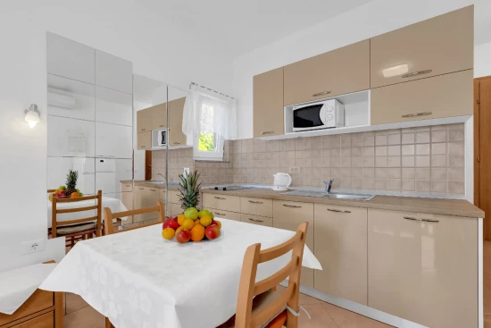 Apartmán Střední Dalmácie - Brela DA 10331 N1