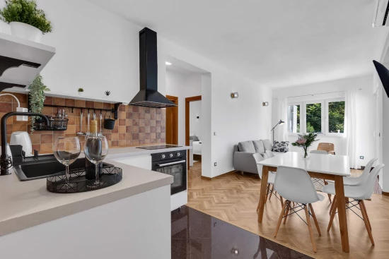 Apartmán Střední Dalmácie - Brela DA 10331 N8