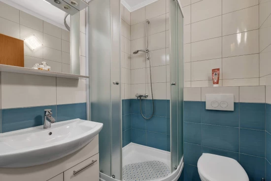 Apartmán Střední Dalmácie - Brela DA 10331 N9