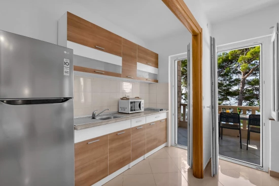 Apartmán Střední Dalmácie - Brela DA 10331 N12