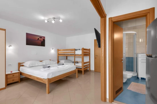 Apartmán Střední Dalmácie - Brela DA 10331 N12