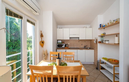 Apartmán Severní Dalmácie - Bibinje DA 10386 N1