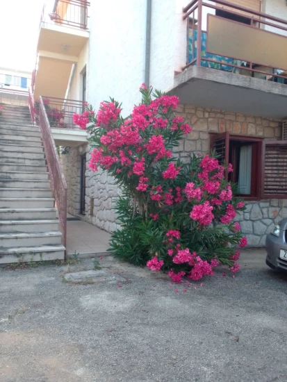 Apartmán Kvarner - Crikvenica KV 10172 N1