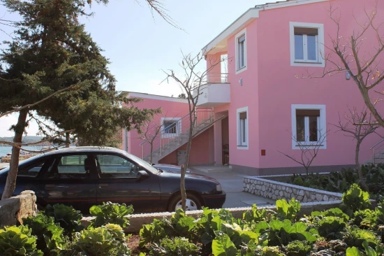 Apartmán Ostrov Dugi otok - Veli Rat OS 11690 N1