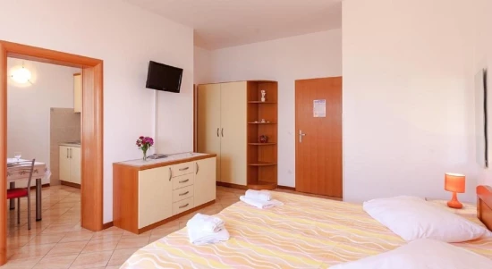 Apartmán Střední Dalmácie - Brela DA 10476 N6