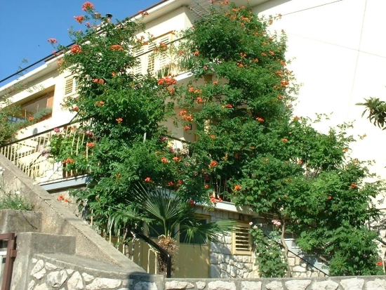 Apartmán Kvarner - Crikvenica KV 10192 N3