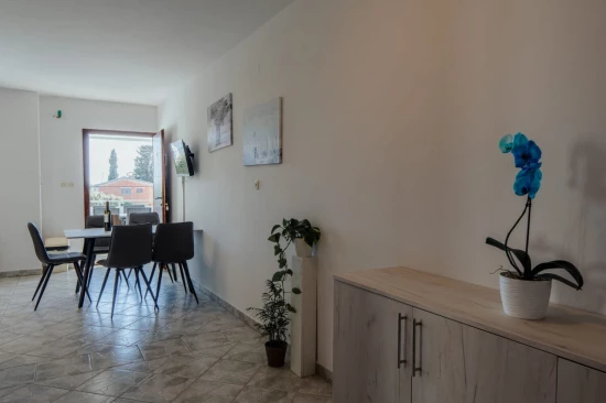 Apartmán Severní Dalmácie - Vrsi (Nin) DA 10504 N1