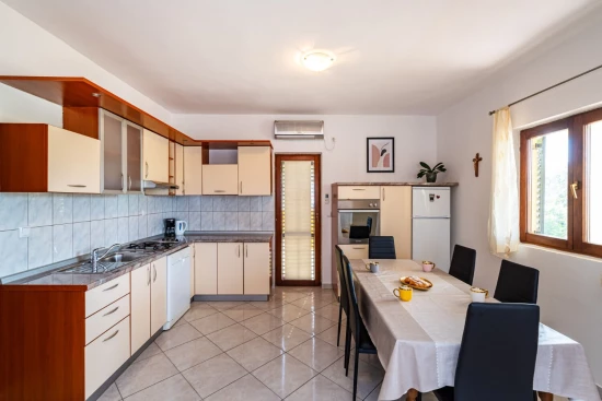 Apartmán Severní Dalmácie - Novigrad DA 10561 N1