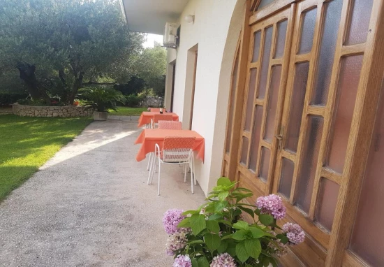 Apartmán Střední Dalmácie - Makarska DA 10603 N1