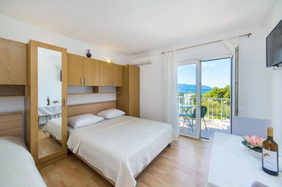 Apartmán Střední Dalmácie - Gradac DA 10624 N2