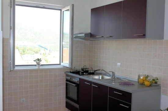 Apartmán Jižní Dalmácie - Dubrovník DA 10627 N1