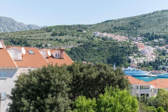 Apartmán Jižní Dalmácie - Dubrovník DA 10628 N3