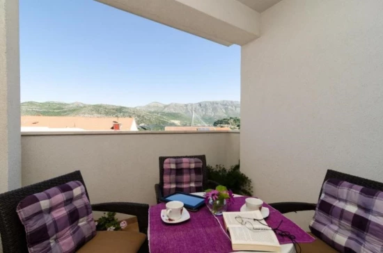 Apartmán Jižní Dalmácie - Dubrovník DA 10628 N3