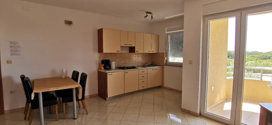 Apartmán Istrie - Ližnjan IS 7914 N1