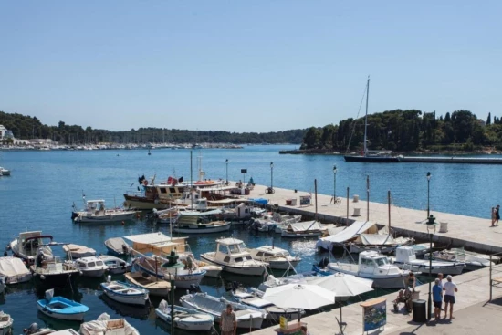 Apartmán Istrie - Rovinj IS 7917 N1