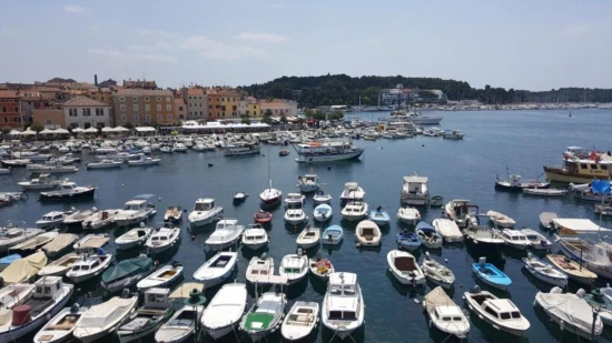 Apartmán Istrie - Rovinj IS 7917 N1