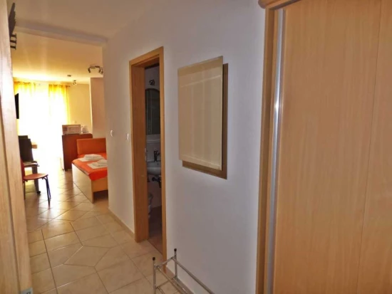 Apartmán Střední Dalmácie - Baška Voda DA 10691 N4