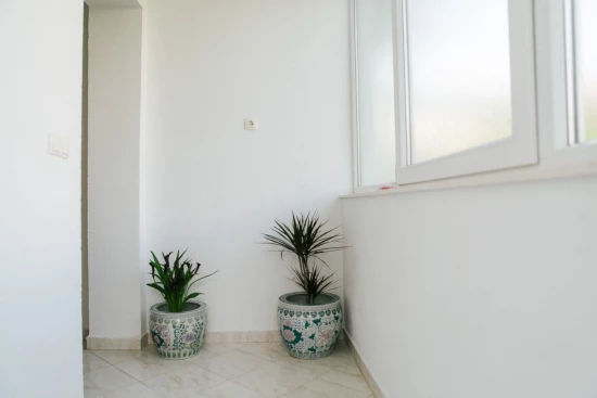 Apartmán Střední Dalmácie - Trogir DA 10738 N1