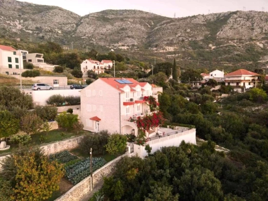 Apartmán Jižní Dalmácie - Mlini (Dubrovník) DA 10739 N1