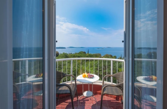 Apartmán Jižní Dalmácie - Mlini (Dubrovník) DA 10739 N3