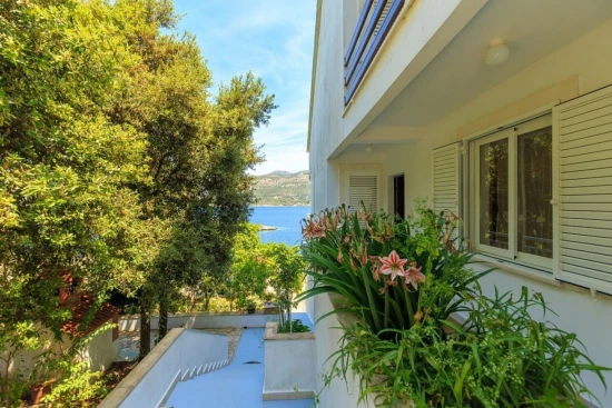 Apartmán Ostrov Korčula - Korčula OS 11885 N1