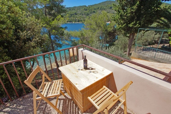 Apartmán Ostrov Korčula - Vela Luka OS 11901 N1