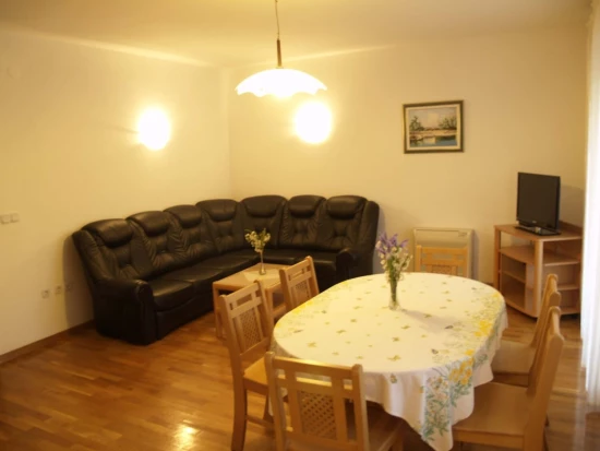 Apartmán Ostrov Ugljan - Ugljan OS 11907 N1