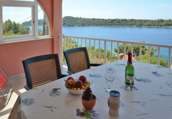 Apartmán Ostrov Korčula - Karbuni OS 11911 N1