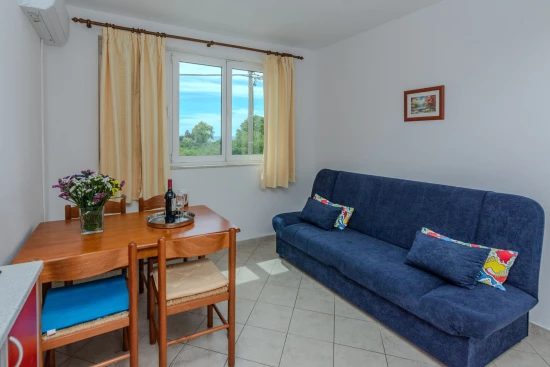 Apartmán Severní Dalmácie - Zaton (Petrčane) DA 17080 N4