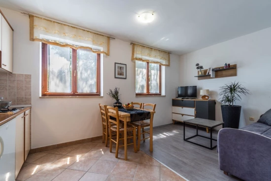 Apartmán Istrie - Krnica (Pula) IS 7983 N1