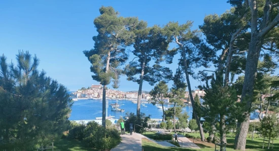 Apartmán Istrie - Rovinj IS 7984 N1