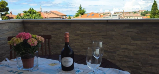 Apartmán Istrie - Rovinj IS 7984 N2