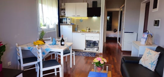 Apartmán Istrie - Rovinj IS 7984 N2