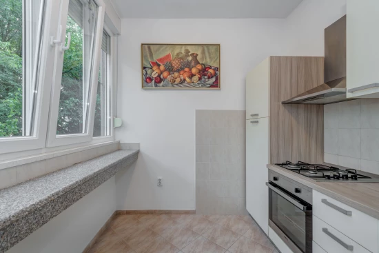 Apartmán Střední Dalmácie - Split DA 17105 N1