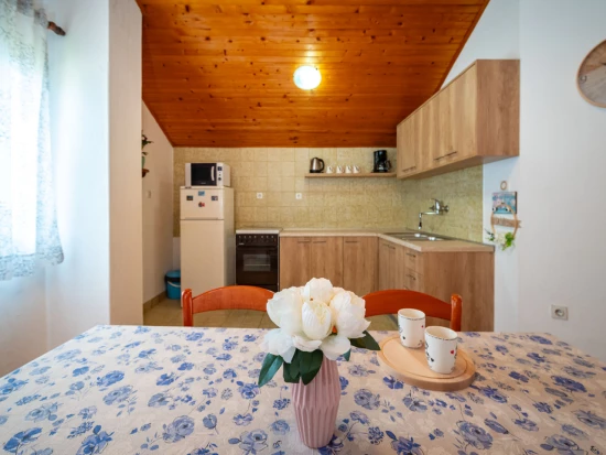 Apartmán Severní Dalmácie - Nin DA 5203 N1