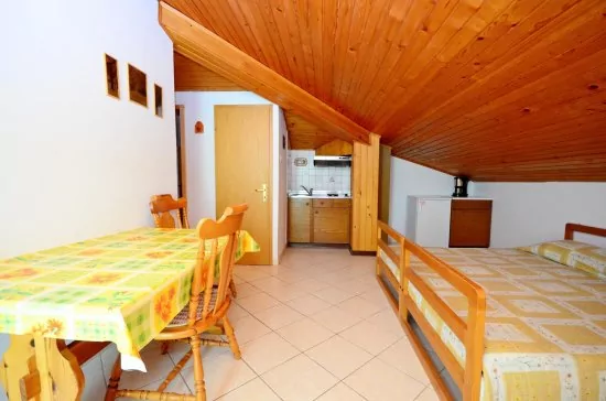 Apartmán Istrie - Novigrad IS 3504 N1