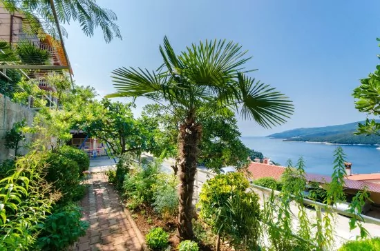 Apartmán Istrie - Rabac IS 1003 N2