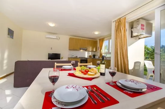 Apartmán Severní Dalmácie - Privlaka DA 5310 N1